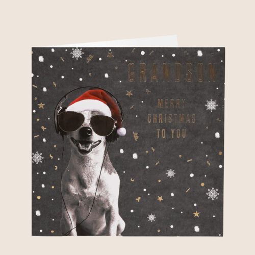 Christmas grandson cool dog sunglasses headphone Santa hat grey